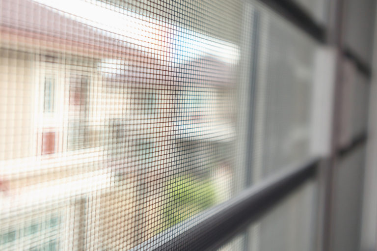 Plötzlich viele Fliegen im Haus Ursachen & Gegenmaßnahmen